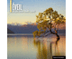 tlchargement catholique :Eveil - Les plus beaux chants sacrs