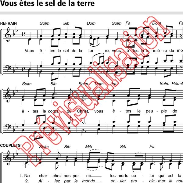 Vous Etes Le Sel De La Terre Communaute De L Emmanuel Ref P000571 Produit Original Editions Emmanuel 06 57 3 59 Eur