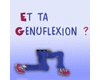 Et ta gnuflexion ?