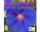 enseignements chrtiens : La puissance de la louange 1&2