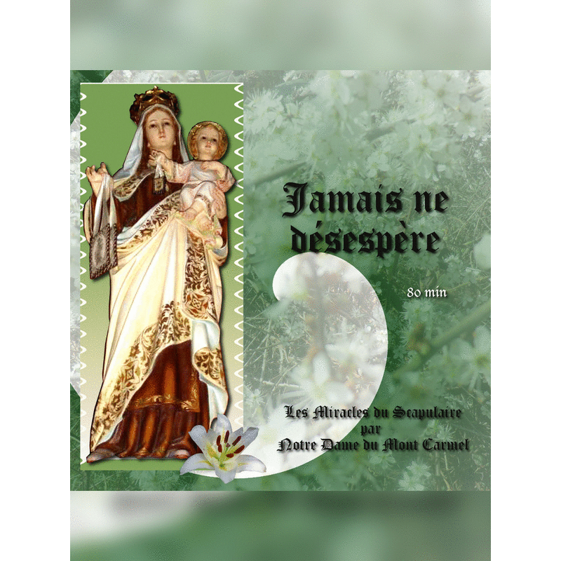 Jamais ne dsespre - Cliquez sur l'Image pour la Fermer