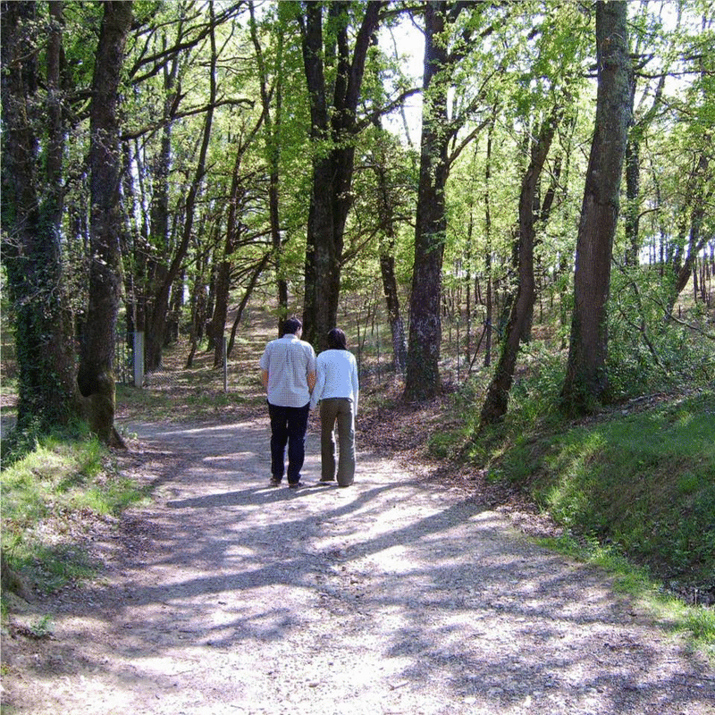 L'aventure de l'amour - Cliquez sur l'Image pour la Fermer