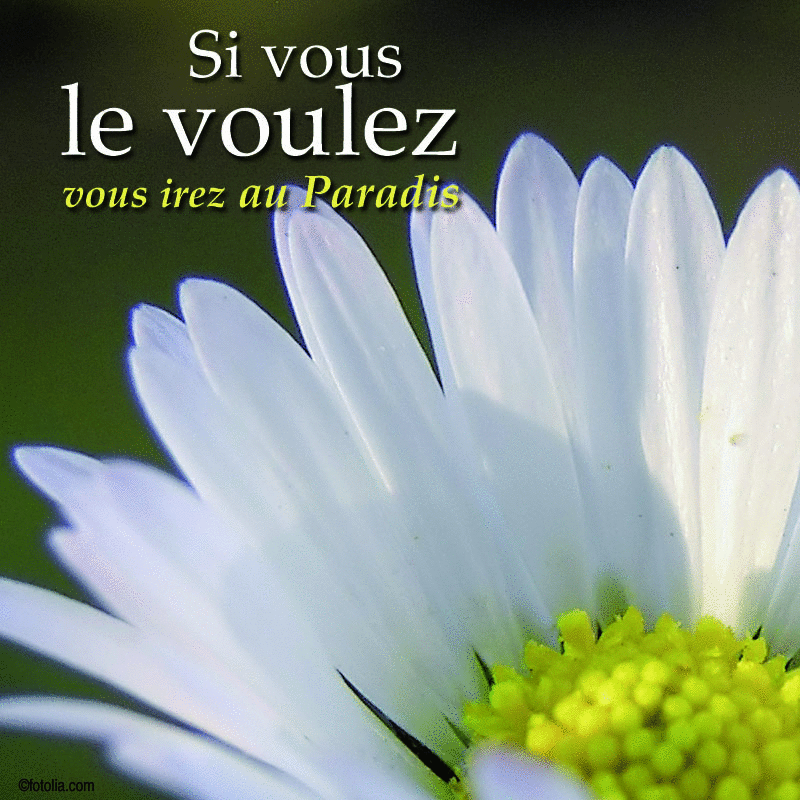 Si vous le voulez, vous irez au paradis - Cliquez sur l'Image pour la Fermer