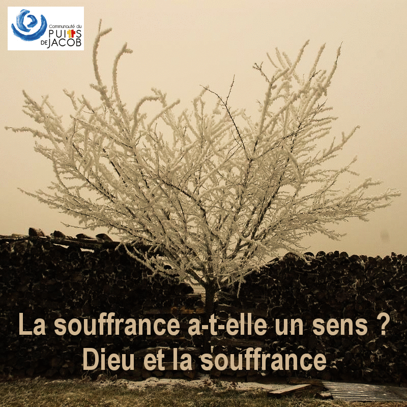 La souffrance a-t-elle un sens ? Dieu et la souffrance - Cliquez sur l'Image pour la Fermer