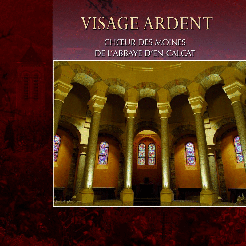 Visage Ardent - Cliquez sur l'Image pour la Fermer