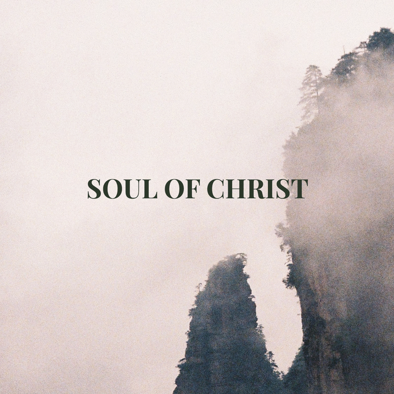 Soul of Christ (Ame du Christ) - Cliquez sur l'Image pour la Fermer