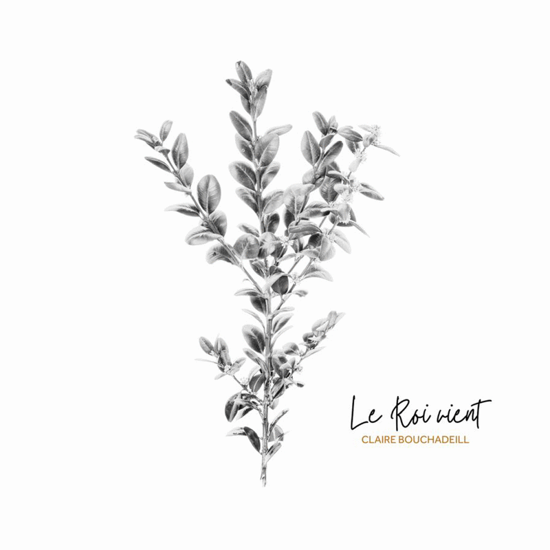 Le Roi vient - Cliquez sur l'Image pour la Fermer