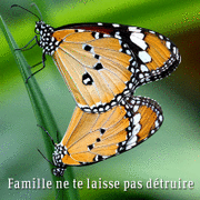 Famille, ne te laisse pas dtruire