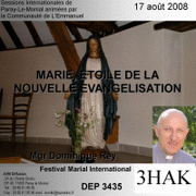 Marie toile de la nouvelle vanglisation