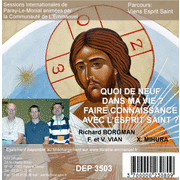 Faire connaissance avec l'Esprit-Saint