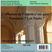 L'effusion de l'Esprit : c'est quoi? Pourquoi ? Quels fruits ?