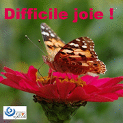 Difficile joie !