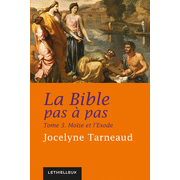 La Bible pas  pas, tome 3