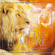 Lion de Lumire