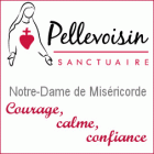 Sanctuaire de Pelleviosin